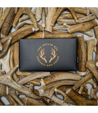 The Antler Box Premium Deer Antler Dog Chews (1 lb Bulk Pack) -Medium Large and XL Whole Antlers-Long Lasting Organic Chewing Toys Sourced from Naturally Shed Antlers in The USA