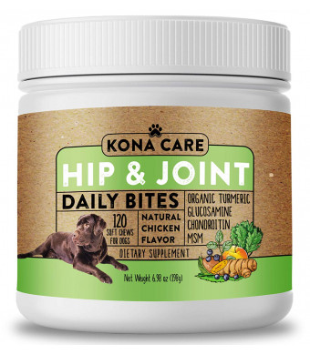 Hip and Joint Supplement for Dogs - Organic Turmeric, Glucosamine, Chondroitin, MSM - Made with All-Natural Ingredients - Supports Healthy Joints and Improves Mobility, Large and Small Dogs - 120 Soft Chews