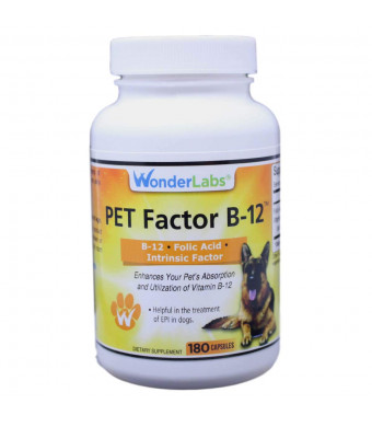 WonderLabs Pet Factor B-12 | Vitamin B-12 in Methylcobalamin Form | Popular in Treatment of EPI in Dogs
