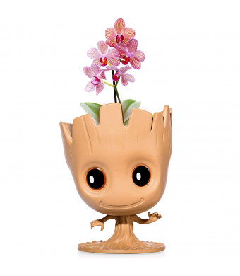 I Am Groot Flower Pot: Cute Decorative Planter Pot Can Also Be Used As Pens Holder, Storage Container Or DIY Indoor Plant Growing | Guardians of The Galaxy Themed Pot