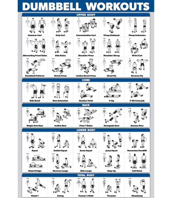 Palace Learning Dumbbell Workout Exercise Poster - Laminated - Free Weight Body Building Guide | Home Gym Chart | Double Sided - 18" x 27"