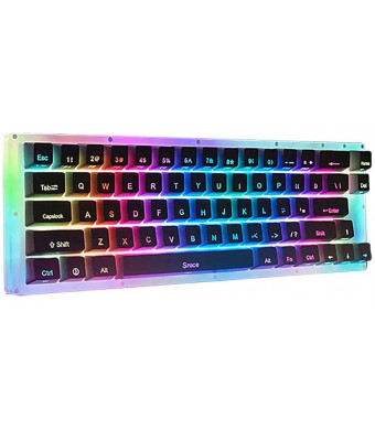 Womier 60% Mechanical Gaming Keyboard, 66 Keys Hot Swappable Tyce-C Wired RGB Backlit Gateron Switch Custom Mechanical Keyboard with Crystalline Base for Win/Mac (Blue Switch,White)