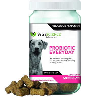 VetriScience Laboratories - Probiotic Everyday for Dogs, Digestive Support Supplement, 60 Bite-Sized Chews