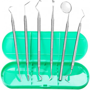 Dental Tools, Professional Plaque Remover for Teeth, Dental Hygiene Kit, Stainless Steel Oral Care Cleaning Tools Set with Tooth Scraper Plaque Tartar Remover, Metal Dental Pick Scaler - with Case