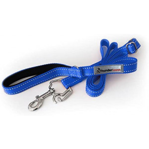ThunderLeash No-Pull Dog Leash (Small (12 to 25 lbs), Blue)