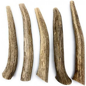 Deer Antlers for Dogs, Premium, Grade A, Deer Antler Dog Chew, Long Lasting Dog Treat for Your Pet. from The USA (5-Pack, Small, Long)