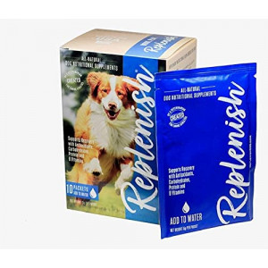 Replenish Dog Recovery Water Supplement, 10 Packets, Made in The USA, All-Natural Hydration