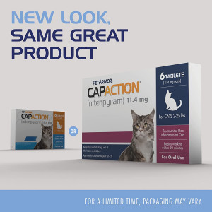 CapAction Oral Flea Treatment Cat 6ct