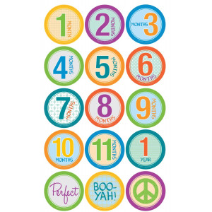 Belly Banter BABY UNISEX Monthly Growth Stickers Includes 12 month stickers plus 3 BONUS statement stickers