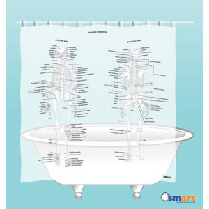Human Skeleton Shower Curtain - EVA vinyl
