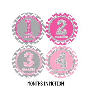 Months in Motion 281 Baby Month Stickers Baby Girl Pink Chevron Months 1-12 Monthly Age Sticker