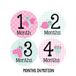 Months in Motion 317 Monthly Baby Girl Stickers Pink Cute Bugs Months 1-12