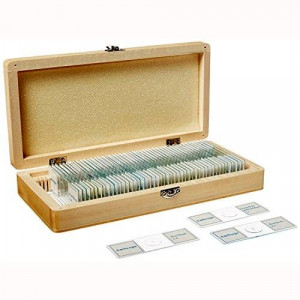 AmScope PS50A Prepared Microscope Slide Set for Basic Biological Science Education, 50 Biology and Pathology Slides, Includes Fitted Wooden Case