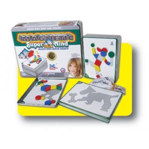 Leisure Learning Products Inc. Magnetic SuperMind