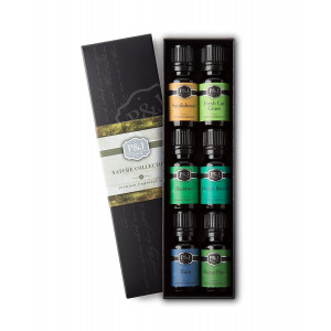 Nature Set of 6 Premium Grade  Fragrance Oils - Forest Pine, Ocean Breeze, Rain, Fresh Cut Grass, Sandalwood, Bamboo - 10ml