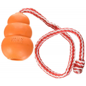 KONG - Aqua - Floating Fetch Toy for Water Play
