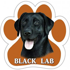 Black Lab Car Magnet With Unique Paw Shaped Design Measures 5.2 by 5.2 Inches Covered In UV Gloss For Weather Protection