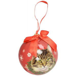 Maine Coone Cat Christmas Ornament Shatter Proof Ball Easy To Personalize A Perfect Gift For Maine Coone Cat Lovers