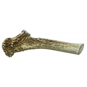 WhiteTail Naturals Extra Large Premium Deer Antler for Dogs | All Natural XL Antler Chew (7"- 8") | Healthy Dog Chews for Large Breeds | Long Lasting, Hard, X Large Shed.