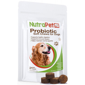NutraPet Probiotics for Dogs Soft Chews - Digestive Health Supplement in a Tasty Treat - Delicious Chicken Liver Dog Probiotic That Your Pup Will Love! - 60 Count