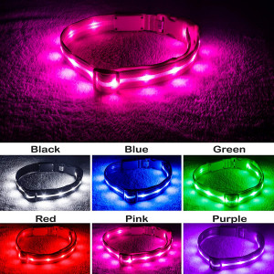Blazin' Safety LED Dog Collar  USB Rechargeable with Water Resistant Flashing Light