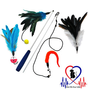 Pet Fit For Life Multi Feathers and 1 Soft Teaser/Exerciser Interactive Cat Wand for Your Cat or Kitten