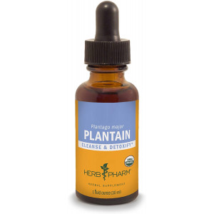 Herb Pharm Certified Organic Plantain Liquid Extract for Cleansing and Detoxification - 1 Ounce