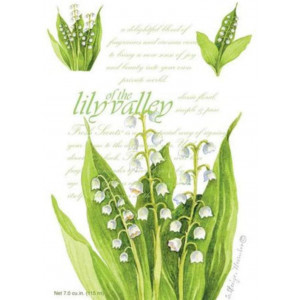 Fresh Scents Scented Sachets - Lily of the Valley, Lot of 6