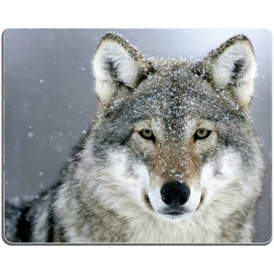 Brian114 Custom Predator Wolf Snow Anti Slip Comfort Gaming Mouse Pad - Durable Office Accessory Gift