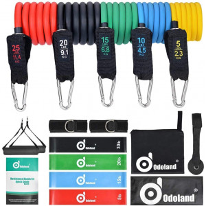 Odoland 16 pcs Resistance Bands Set Workout Bands Exercise Bands Fitness Bands with Door Anchor, Handles, Ankle Strap, Resistance Loop Bands for Resistance Training, Home Workouts, Physical Therapy