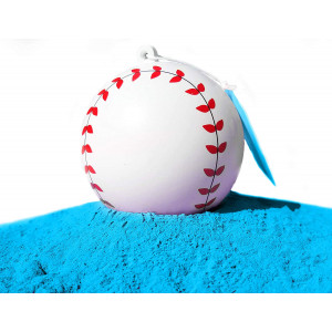 JandM Gender Reveal Baseball for Baby Showers and Reveal Parties - 100% All Natural Holi Powder (Blue)