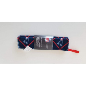NFL Rally Paper Crinkle Toy - New England Patriots