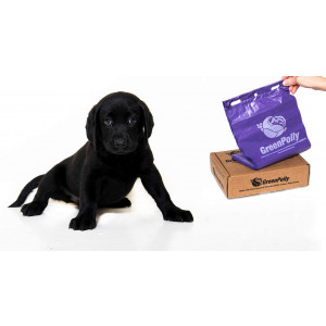 GreenPolly Pet Waste and Dog Poop Bags, Purple, 250 Count