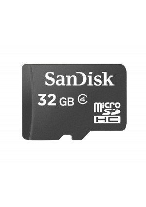 SanDisk 32GB microSDHC Memory Card (Bulk Package)