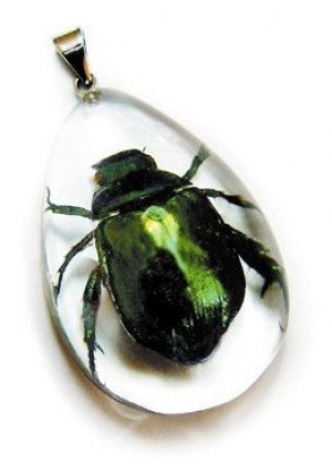 REALBUG Green Chafer Beetle, Necklace, Clear, Small