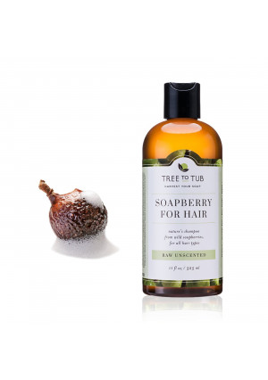Organic Shampoo - Soft, Shiny Hair with pH Balanced All Natural Shampoo for Dandruff, Dry, Itchy Scalp, Psoriasis, Eczema, Sensitive Skin, from Soapberry/Soap Nuts - Fragrance Free 11oz - Tree to Tub