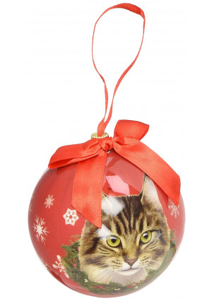 Maine Coone Cat Christmas Ornament Shatter Proof Ball Easy To Personalize A Perfect Gift For Maine Coone Cat Lovers