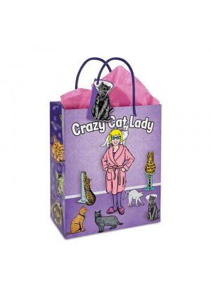 Crazy Cat Lady Gift Bag with Handles  Funny, Reusable Paper Gift Bag