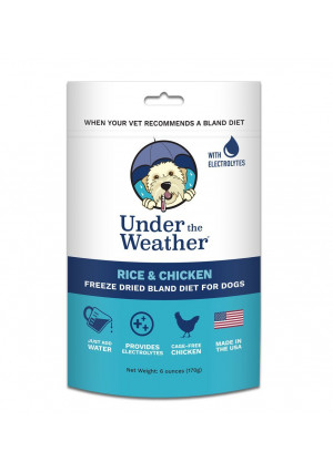 Easy to Digest Bland Dog Food Diet for Sick Dogs - Contains Electrolytes - Gluten Free, All Natural, Freeze Dried 100% Human Grade  Meats
