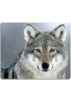 Brian114 Custom Predator Wolf Snow Anti Slip Comfort Gaming Mouse Pad - Durable Office Accessory Gift