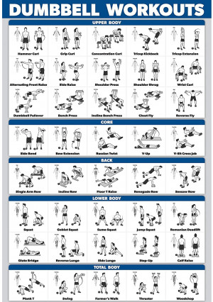 Palace Learning Dumbbell Workout Exercise Poster - Laminated - Free Weight Body Building Guide | Home Gym Chart | Double Sided - 18" x 27"