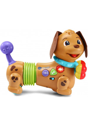 VTech Rattle and Waggle Learning Pup,Multicolor