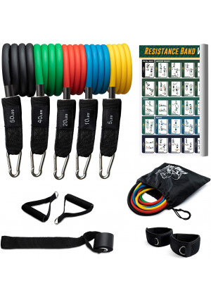 Ryno-Tuff Resistance Bands Set - Exercise Bands With Handles 12 Piece Set Includes Bonus Resistance Band Workout Poster - 5 Workout Bands Combine Up To 125lbs Strength Training, Physical Therapy, Yoga