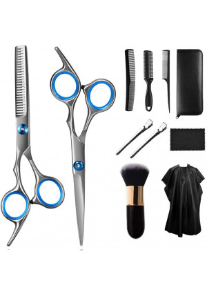 Hair Scissor Home Professional Hair Cutting Kit, 11 PCS Barber Thinning Scissors Hairdressing Shears Stainless Steel Hair Cutting Shears Set, Silver