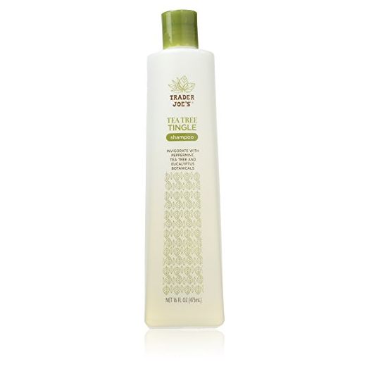 Trader Joe's Tea Tree Tingle Shampoo with Peppermint, Tea Tree and Eucalyptus Botanicals, 16-Ounces