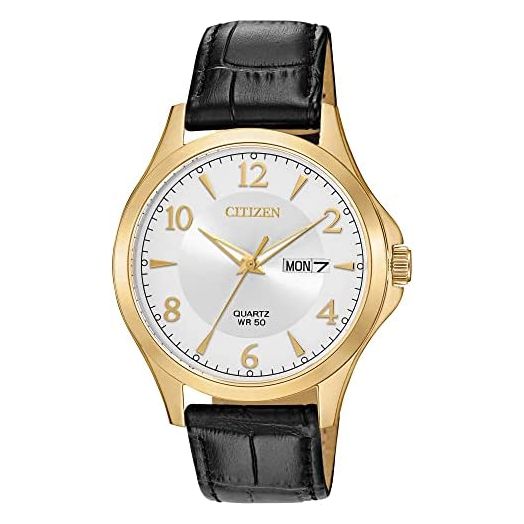 Citizen Quartz Mens Watch, Stainless Steel with Leather strap, Casual, Black (Model: BF2003-25A)