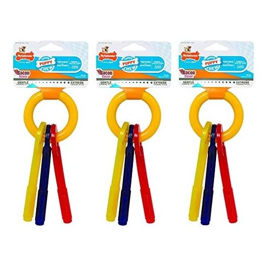 Nylabone 3 Pack of Bacon Puppy Teething Keys, Small