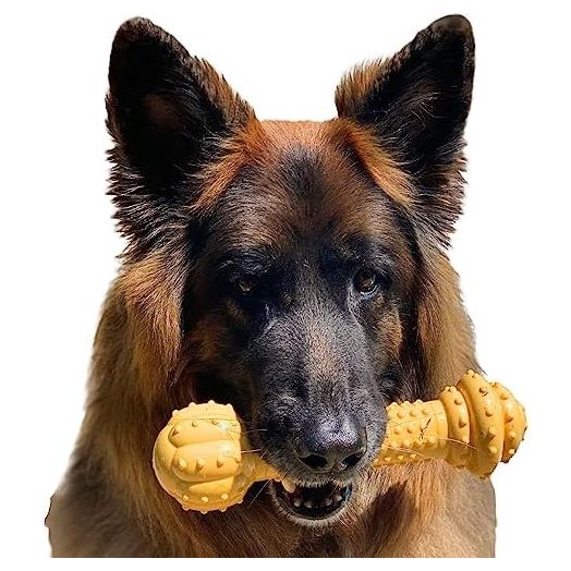 Nylabone Barbell Power Chew Durable Dog Toy Peanut Butter XX-Large/Monster (1 Count)
