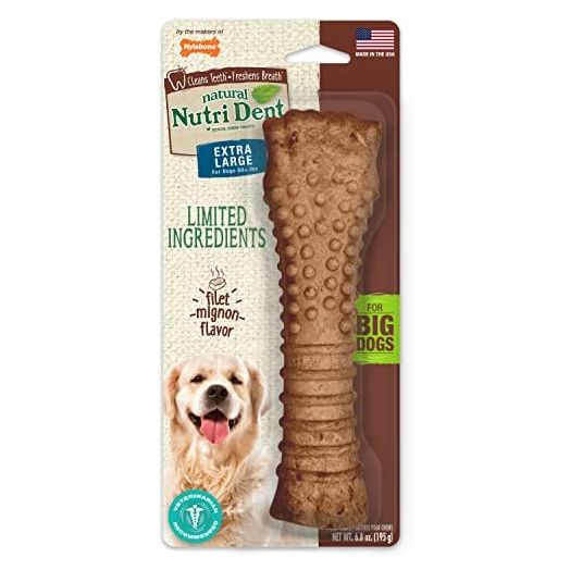 Nylabone Nutri Dent Filet Mignon Flavored Dog Dental Chews