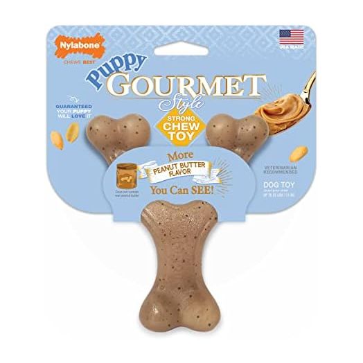 Nylabone Dog, Puppy Gourmet Style Strong Chew Toy Wishbone Peanut Butter Small/Regular (1 Count)